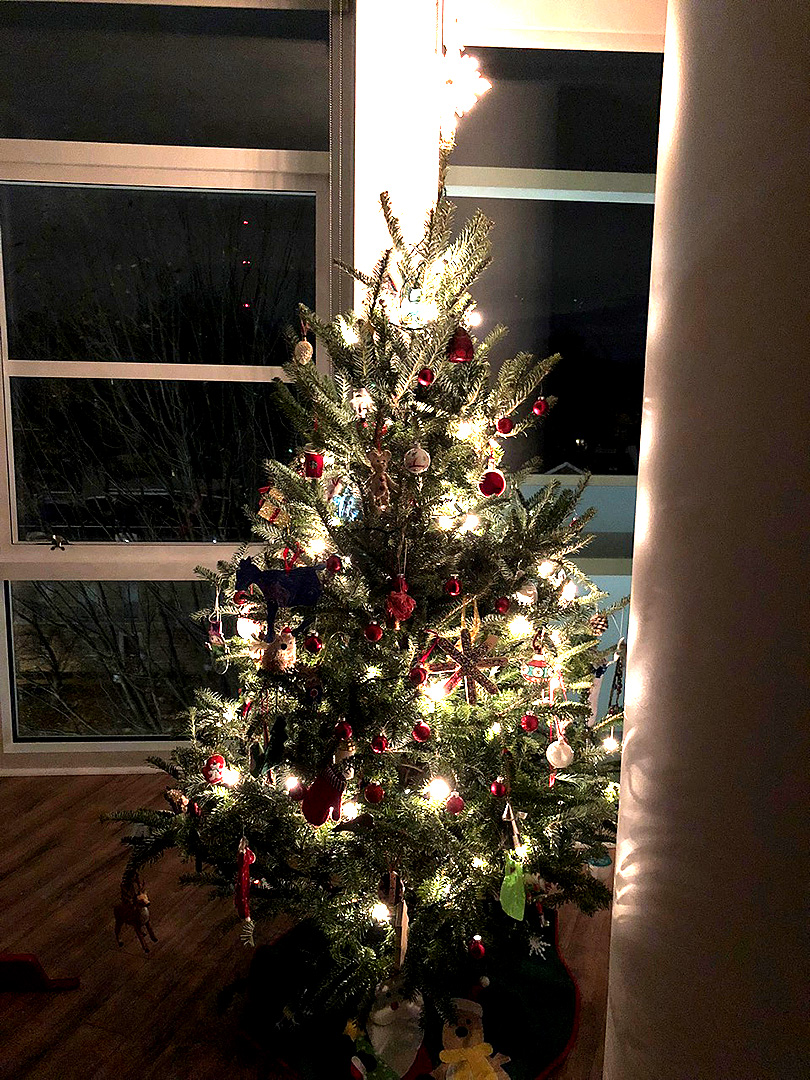 アメリカの12月〜クリスマスツリーが我が家にやってきたVol.3