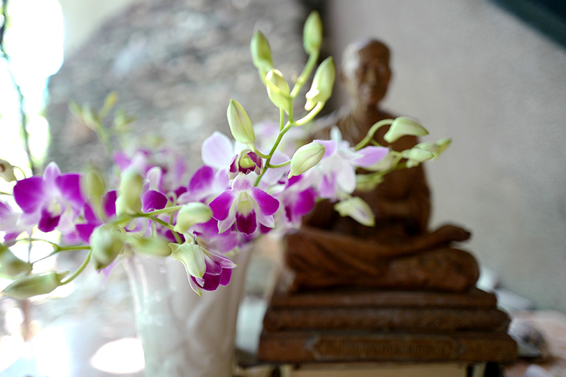【3月限定企画】 タイから届いた、幸せを願う花