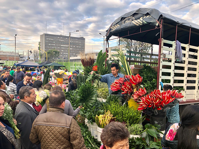 パロケマオ花市場～コロンビア・ボゴタ～