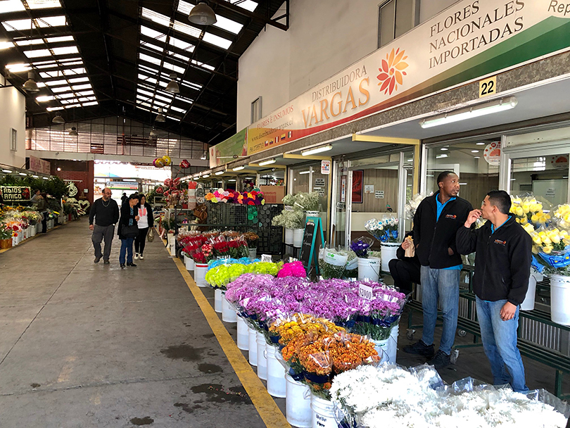 世界最南端の花市場？？～チリ・サンティアゴ～