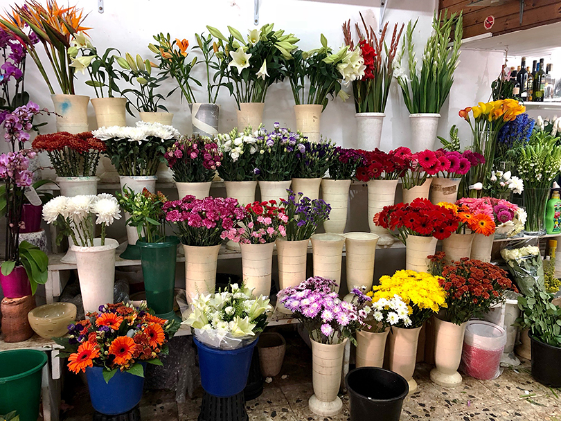中近東のお花大国の花屋さんへ～イスラエル・テルアビブ～