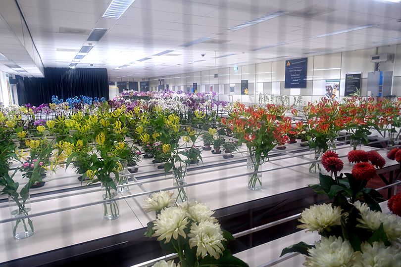 オランダ アールスメール花市場 ヨーロッパ 花のある暮らしを巡る旅 Vol 1 世界の花屋 フラワーギフト おしゃれな花の通販サイト