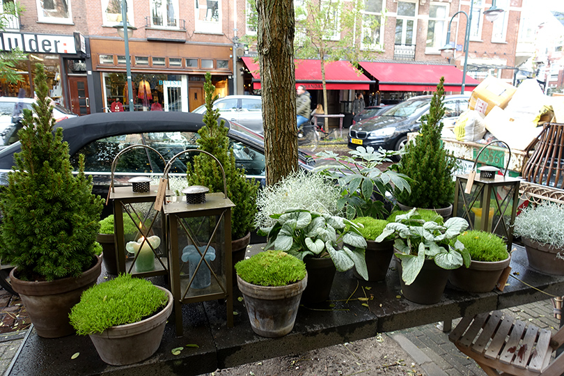 アムステルダムで大人気の花屋さん Menno Kroon ヨーロッパ 花のある暮らしを巡る旅 Vol 4 世界の花屋 フラワーギフト おしゃれな花 の通販サイト