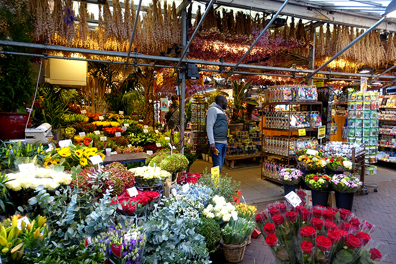 オランダ シンゲル運河に浮かぶ花市場　スタッフ杉本のヨーロッパ出張記 Vol.3