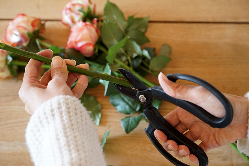 切り花をより長く楽しむための、１０の方法