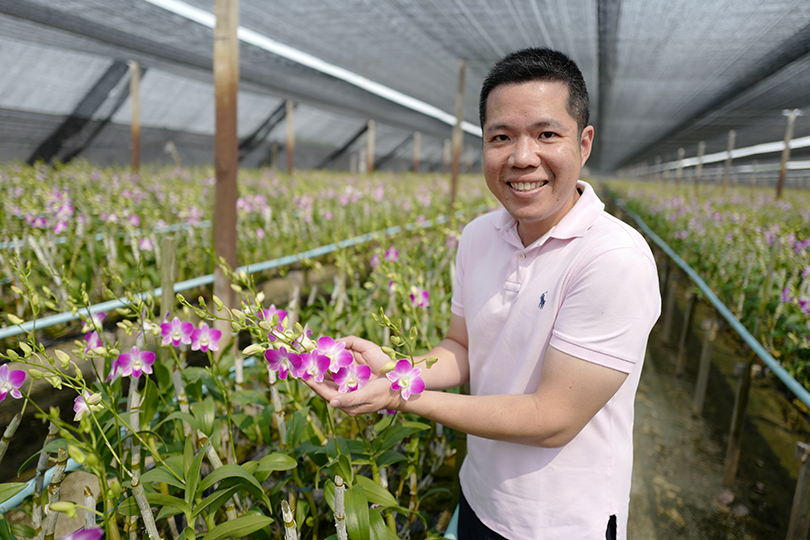 タイ カオヤイ農園 ナタポンさんのデンファレ日記 Vol 4 世界の花屋 フラワーギフト おしゃれな花の通販サイト