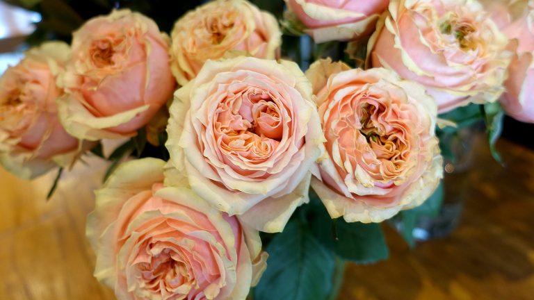 世界の花屋のなかのことVol.6　海外からご依頼いただいたプロポーズの花束