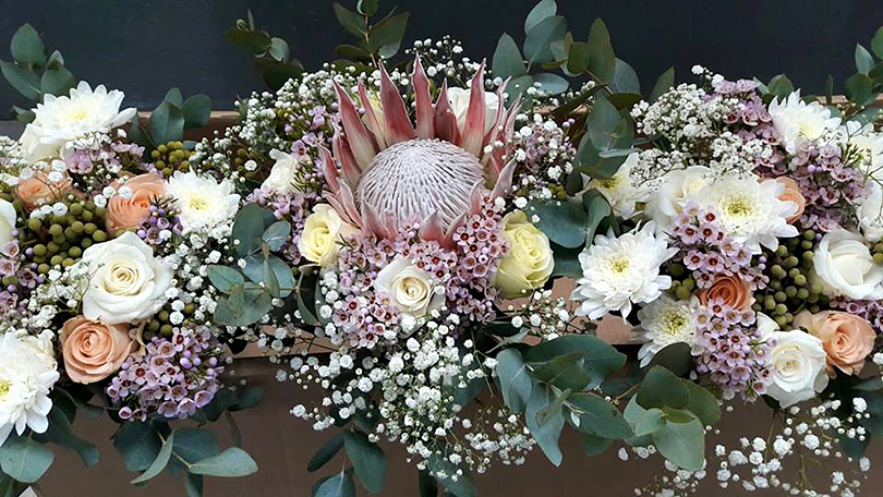 南アフリカの珍しい花たち 南アフリカ花便り Vol 2 世界の花屋 フラワーギフト おしゃれな花の通販サイト
