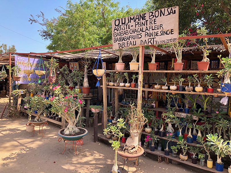 セネガル散歩 セネガル サリー 世界の花屋 フラワーギフト おしゃれな花の通販サイト