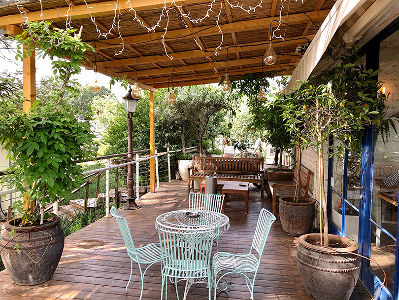 オリーブの木に包まれたカフェ～イスラエル・ベネシオン～