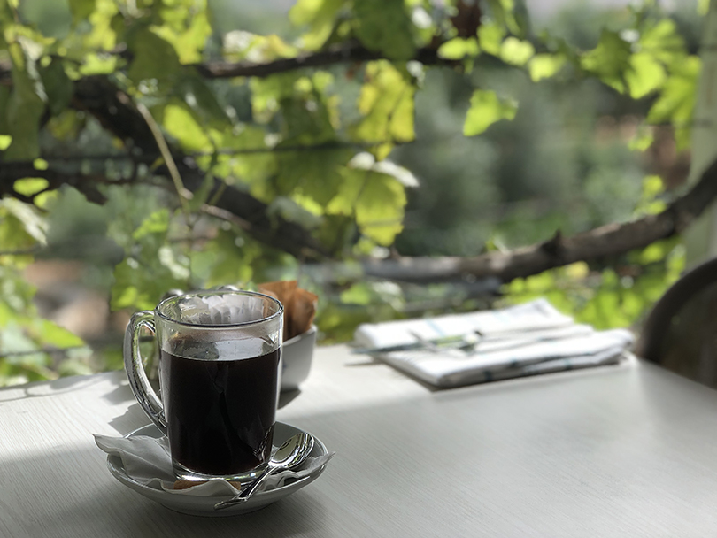 オリーブの木に包まれたカフェ～イスラエル・ベネシオン～