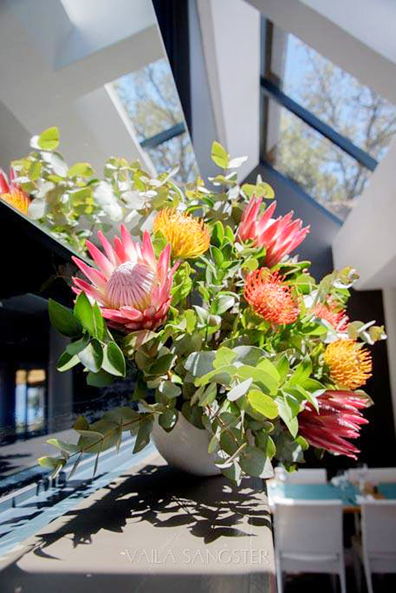 ブーケにリースに ピンクッション 南アフリカの花便り Vol4 世界の花屋 フラワーギフト おしゃれな花の通販サイト