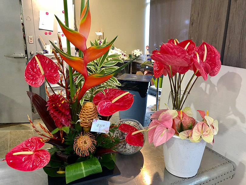 ハワイアンなお花屋さんへ アメリカ ハワイ 世界の花屋 フラワーギフト おしゃれな花の通販サイト