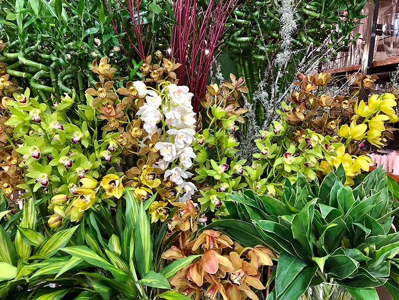 素敵なお花屋さんを発見 ニュージーランド オークランド 世界の花屋 フラワーギフト おしゃれな花の通販サイト