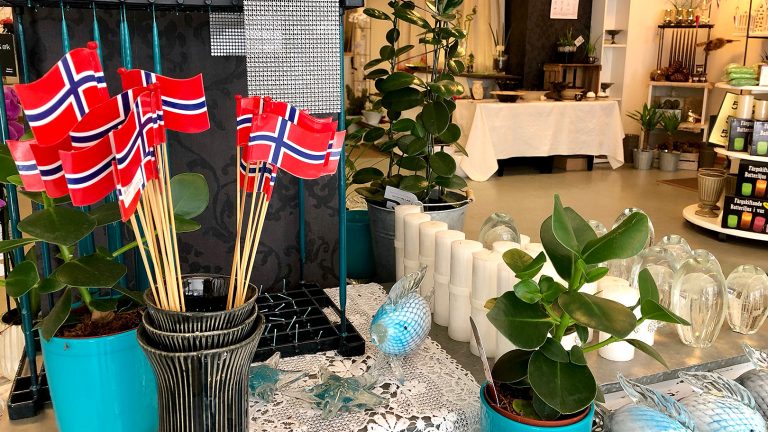 北極圏のお花屋さんに感動～ノルウェー・ホニングスヴァーグ～