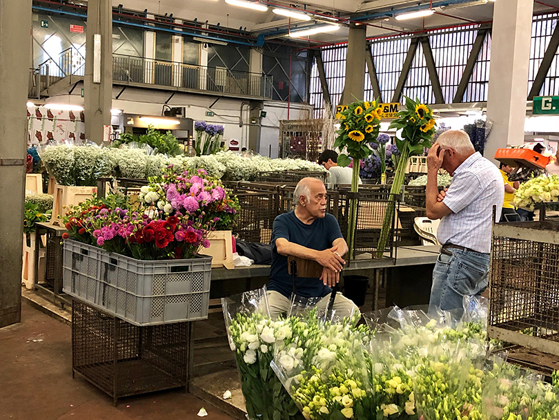 陽気な花市場～イタリア・ローマ～