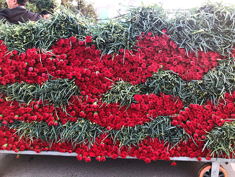 アジア最大の花市場へ 中国 昆明 世界の花屋 フラワーギフト おしゃれな花の通販サイト