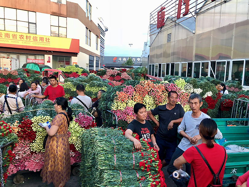 アジア最大の花市場へ～中国・昆明～