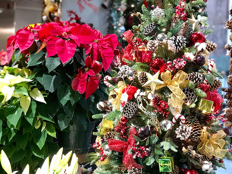 ニューヨークのクリスマス お花屋さん編 世界の花屋 フラワーギフト おしゃれな花の通販サイト