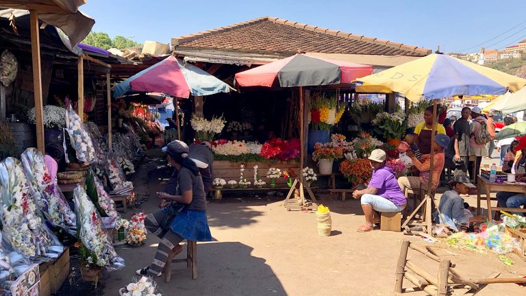 マラガシの花文化～マダガスカル・アンタナナリボ～