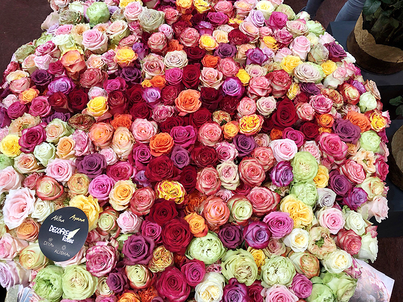世界最大の花市場 オランダ アムステルダム 世界の花屋 フラワーギフト おしゃれな花の通販サイト