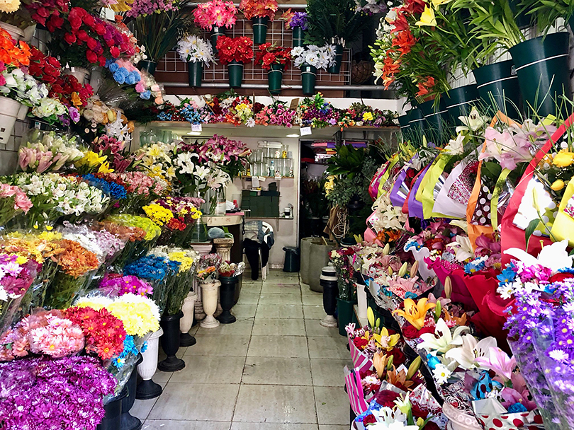 ブエノスアイレスの花屋街へ～アルゼンチン・ブエノスアイレス～