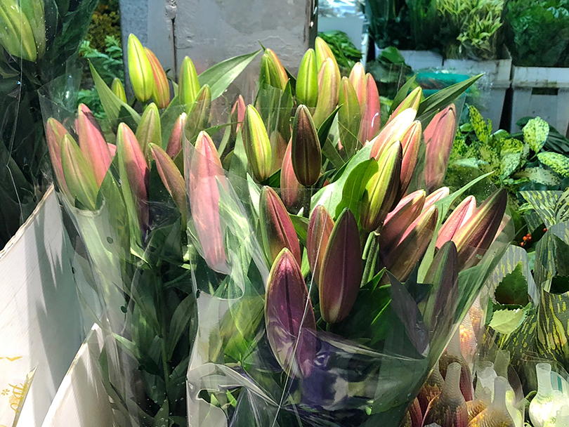活気ある花市場～台湾・台北～