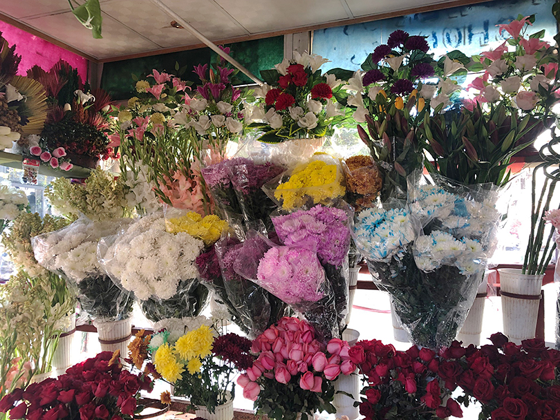 歴史ある花文化 エジプト カイロ 世界の花屋 フラワーギフト おしゃれな花の通販サイト