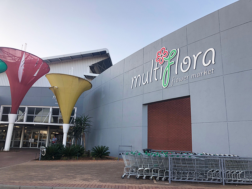 アフリカ最大の花市場～南アフリカ・ヨハネスブルグ～