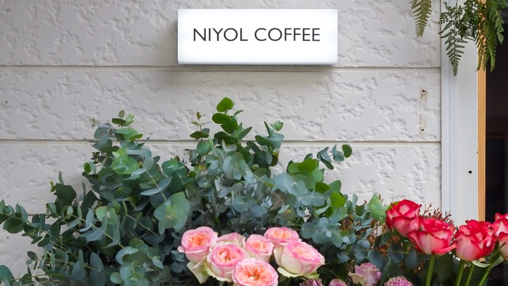 世界の花屋 Niyol Coffee Vol 2 世界の花屋 フラワーギフト おしゃれな花の通販サイト