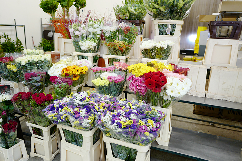 花市場へ ポルトガル リスボン 世界の花屋 フラワーギフト おしゃれな花の通販サイト
