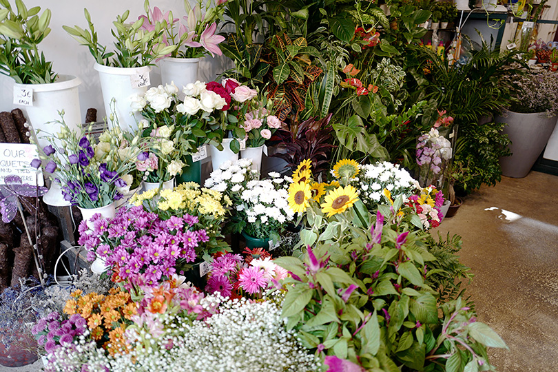 お花屋さん巡り マルタ セントジュリアン 世界の花屋 フラワーギフト おしゃれな花の通販サイト