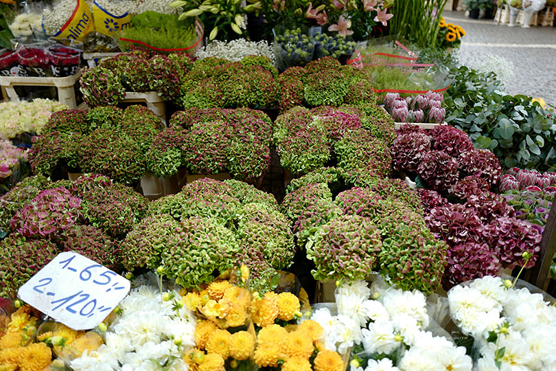 花とコーヒーの朝 スウェーデン ストックホルム 世界の花屋 フラワーギフト おしゃれな花の通販サイト