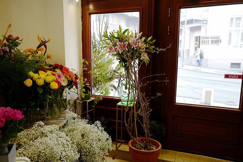 ベオグラードの現在を知る セルビア ベオグラード 世界の花屋 フラワーギフト おしゃれな花の通販サイト