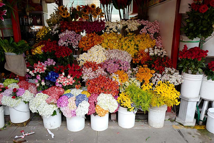 アートなエリアの花広場～ペルー・リマ～