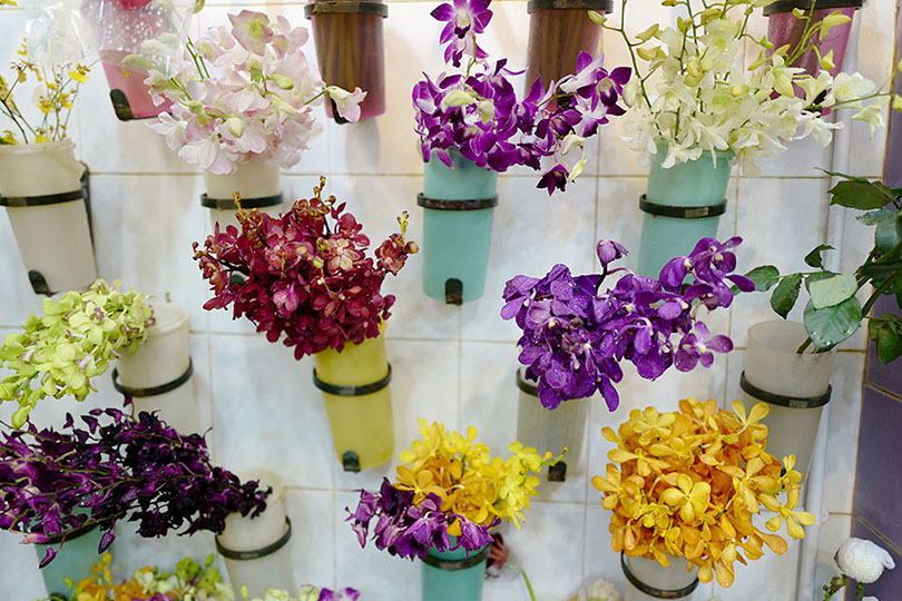 ブルネイの花文化 ブルネイ バンダルスリブガワン 世界の花屋 フラワーギフト おしゃれな花の通販サイト
