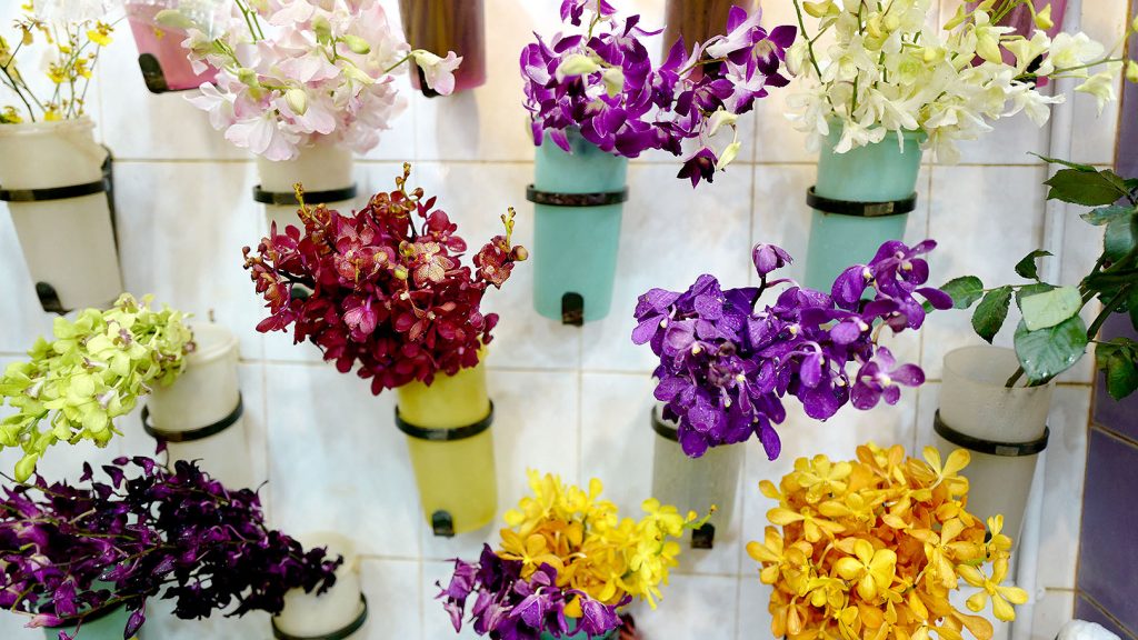 ブルネイの花文化 ブルネイ バンダルスリブガワン 世界の花屋 フラワーギフト おしゃれな花の通販サイト
