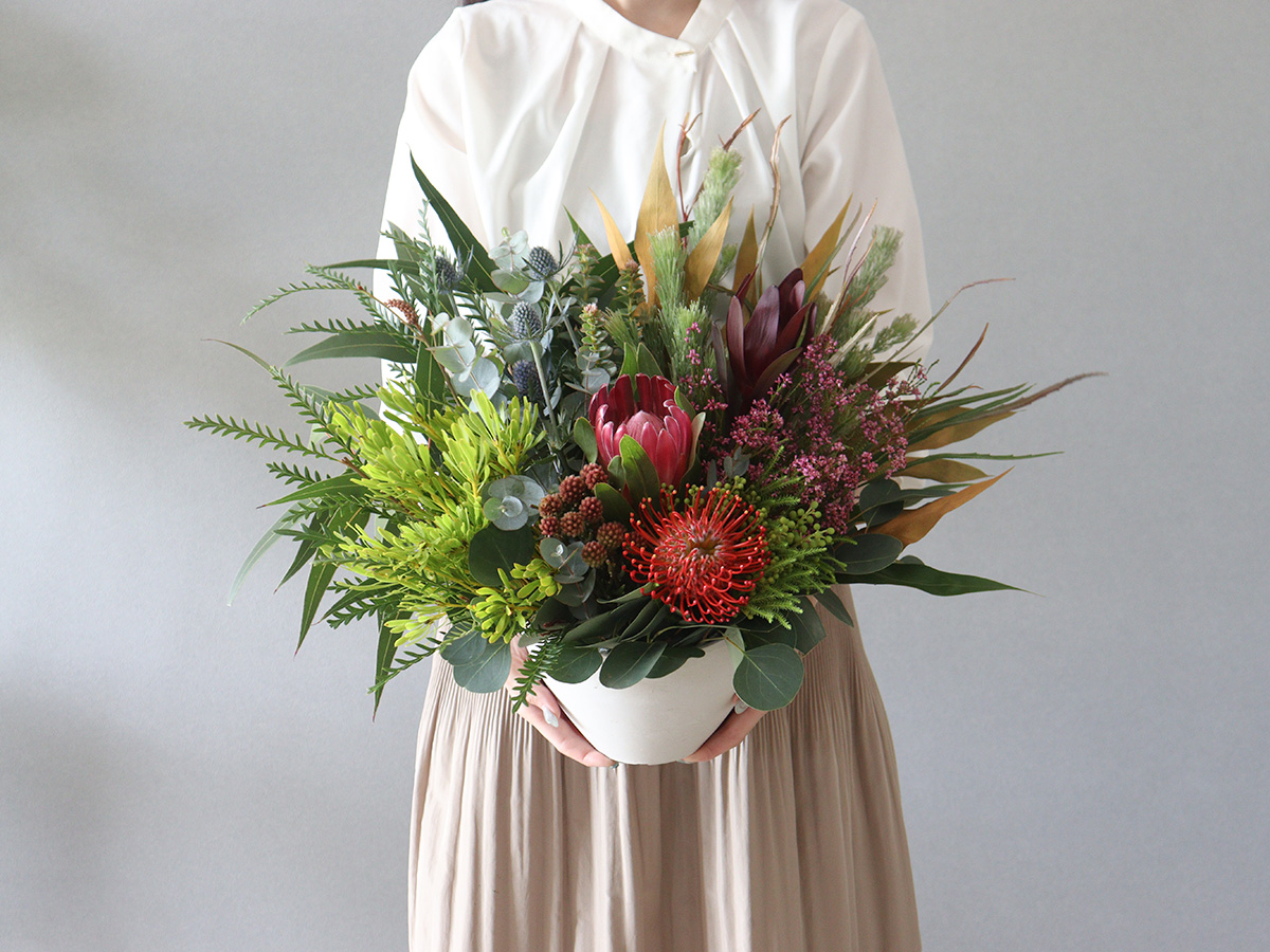 季節のプロテアおまかせフレッシュアレンジメント(赤・ピンク系)